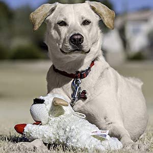 Multipet Lambchop Plush Dog Toy with Squeaker