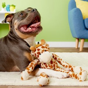 Multipet Swingin Large Plush Dog Toy with Squeakers