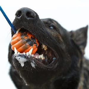 Nero Ball Ultra TM Dog Training Ball On A Rope