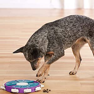 Nina Ottosson By Outward Hound Interactive Puzzle Game Dog Toys