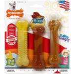 Nylabone dogs chew toy