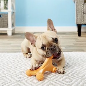 Nylabone DuraChew Axis Bacon Flavored Dog Chew Bone