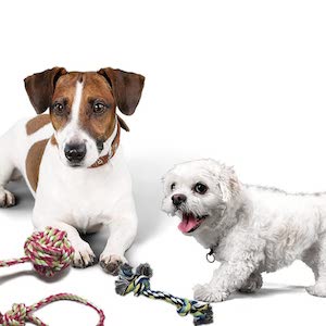 Otterly Pets Set of 4 Dog Rope Toys