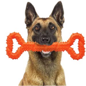 Palmula Dog Toy for Aggressive Chewers
