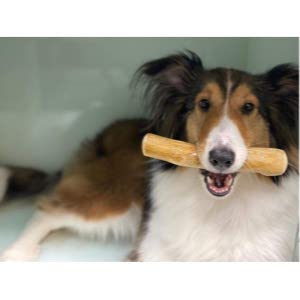 Pet Full House WoofWood Dog Chew Sticks