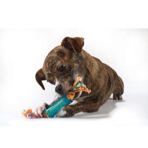 Petstages Dental & Teething Dog Chew Toys