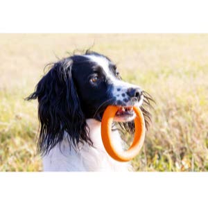 PlayfulSpirit Durable Tug of War Dog Toy