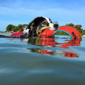 RUFFWEAR – Hydro Plane Floating Dog Toy