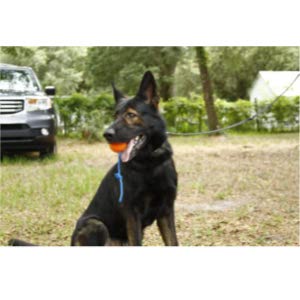 The Nero Classic K-9 Dog Rope Toy with Ball