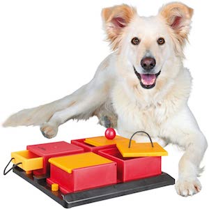 Trixie Activity Poker Box Dog Toy