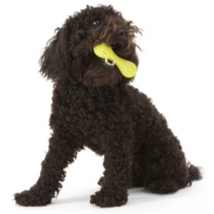 WEST PAW Zogoflex Dog Stick Toy