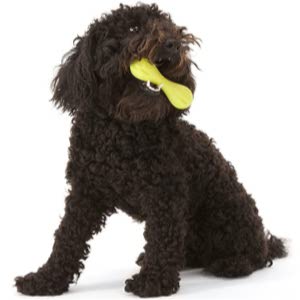 West Paw Zogoflex Hurley Dog Bone Chew Toy