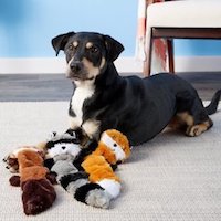 ZippyPaws Skinny Peltz Plush Dog Toy