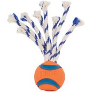 Chuckit! Ultra Toss Ball Tough Dog Toy