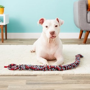 Mammoth SnakeBiter Snake Rope Dog Toy