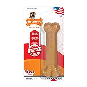 Nylabone DuraChew Bacon Flavored Dog Chew Toy