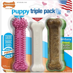 Nylabone Puppy Chew Start Kit Triple Pack 