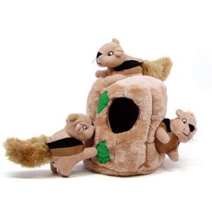 Outward Hound Hide A Squirrel Squeaky Dog Toy