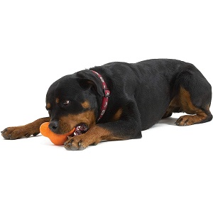 West Paw Zogoflex Tux Interactive Treat Dispensing Dog Chew Toy 