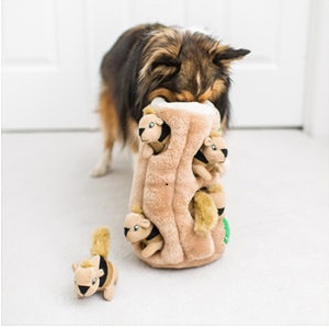 Outward Hound Hide A Squirrel Squeaky Dog Toy