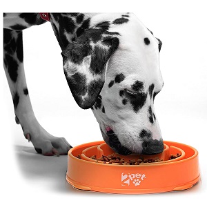 2PET Slow Feed Dog Bowl Slowly Bowly