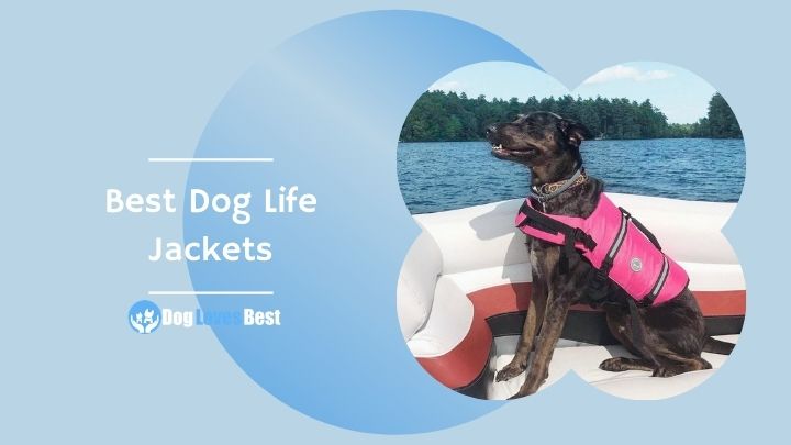 best dog life jacket 2017
