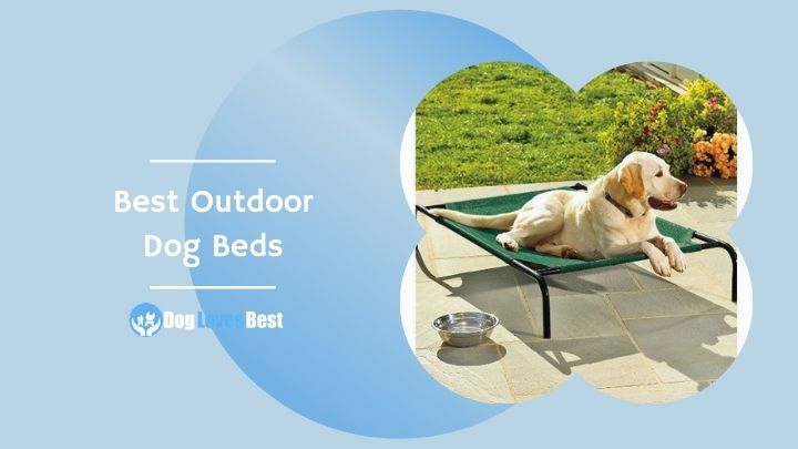 Best Outdoor Dog Beds Featured Image