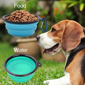 AGECASH A Collapsible Dog Bowl