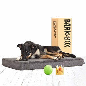 BarkBox Memory Foam Dog Bed