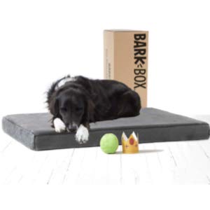BarkBox Memory Foam Joint-Relief Dog Bed