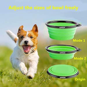 Best Collapsible Dog Bowls
