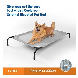 Best Dog Beds for Large Dogs