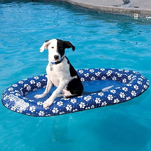 Best Dog Pool Floats