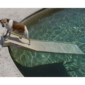 above ground pool stairs for dogs