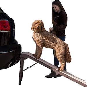 Best Dog Ramp For Large Dog Breeds