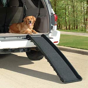 Best Dog Ramps