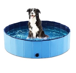 Best Dog Swimming Pools