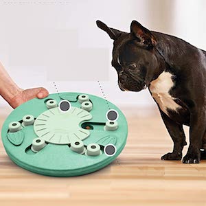 Best Dog Toys for Boston Terriers