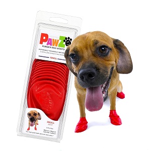 Best Dog Water Shoes