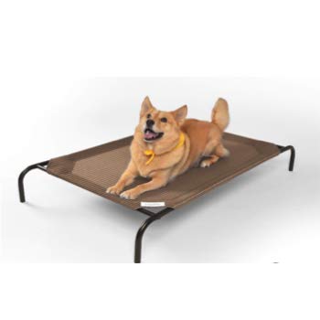 Best Outdoor Dog Beds