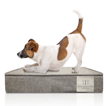 Brentwood Home Orthopedic Pet Bed Made in USA