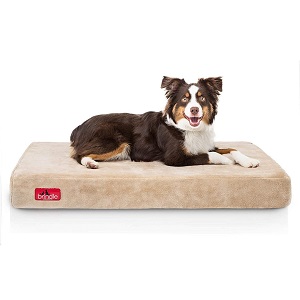 Brindle Waterproof Designer Memory Foam Pet Bed