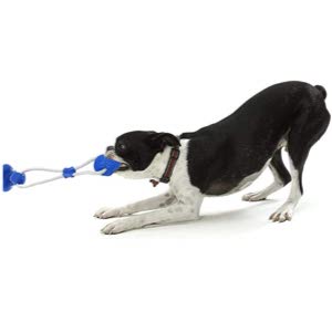 CENGOY Suction Cup Dog Toy
