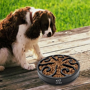 Decyam Pet Fun Feeder Dog Bowl Slow Feeder