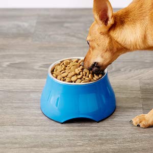 Dogit Elevated Stainless Steel Dog Bowl