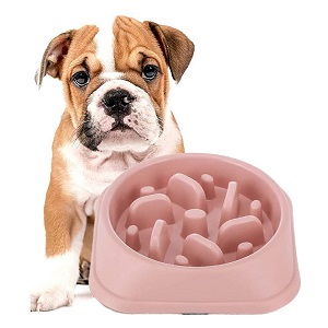 DotPet Interactive Feeder Bloat Stop Dog Bowl