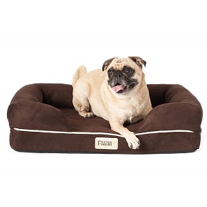 Friends Forever Orthopedic Dog Bed Lounge