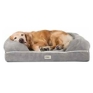 Friends Forever Orthopedic Dog Bed