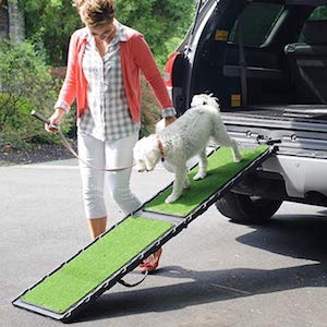 Gen7Pets Natural Step Ramp for Pets