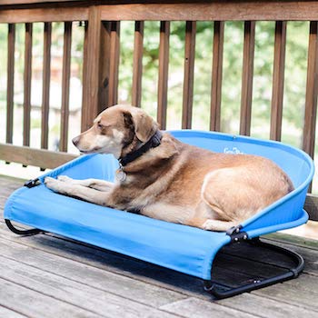 Gen7Pets Trailblazer Cool Dog Cot